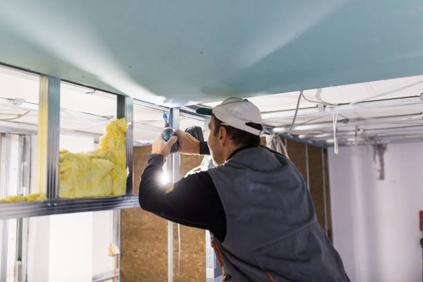 Best Insulation Maintenance and Repair in New Miami, OH